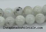 CMS206 15.5 inches 12mm round moonstone gemstone beads wholesale