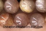 CMS2063 15.5 inches 8mm round moonstone gemstone beads