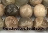 CMS2088 15 inches 10mm round moonstone gemstone beads