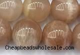 CMS2113 15 inches 10mm round moonstone beads