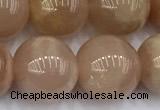 CMS2114 15 inches 11mm round moonstone beads