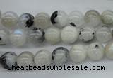 CMS216 15.5 inches 8mm round white moonstone gemstone beads