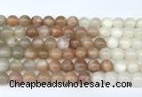 CMS2166 15 inches 8mm round rainbow moonstone beads