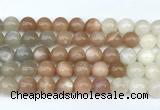 CMS2167 15 inches 10mm round rainbow moonstone beads