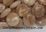 CMS23 15.5 inches 14mm flat round moonstone gemstone beads wholesale