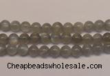 CMS300 15.5 inches 5mm round natural grey moonstone beads wholesale