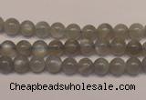 CMS302 15.5 inches 7mm round natural grey moonstone beads wholesale