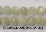 CMS312 15.5 inches 8mm round natural moonstone beads wholesale