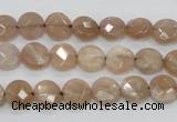 CMS43 15.5 inches 8mm faceted coin moonstone gemstone beads