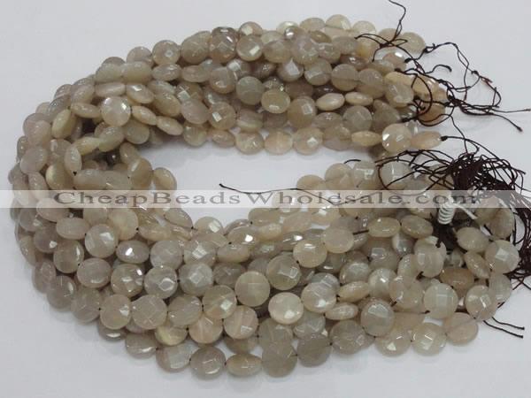 CMS44 15.5 inches 10mm faceted coin moonstone gemstone beads