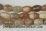 CMS511 15.5 inches 8*12mm rice moonstone beads wholesale