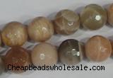 CMS573 15.5 inches 12mm faceted round moonstone beads wholesale