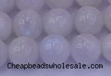 CMS644 15.5 inches 12mm round white moonstone beads wholesale