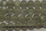 CMS652 15.5 inches 8mm round grey moonstone beads wholesale