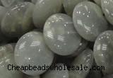 CMS79 15.5 inches 20mm flat round moonstone gemstone beads