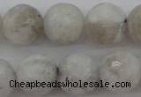 CMS803 15.5 inches 10mm faceted round white moonstone beads