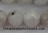 CMS804 15.5 inches 12mm faceted round white moonstone beads