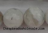 CMS805 15.5 inches 14mm faceted round white moonstone beads