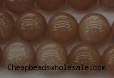 CMS933 15.5 inches 10mm round A grade moonstone gemstone beads