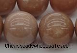 CMS938 15.5 inches 20mm round A grade moonstone gemstone beads