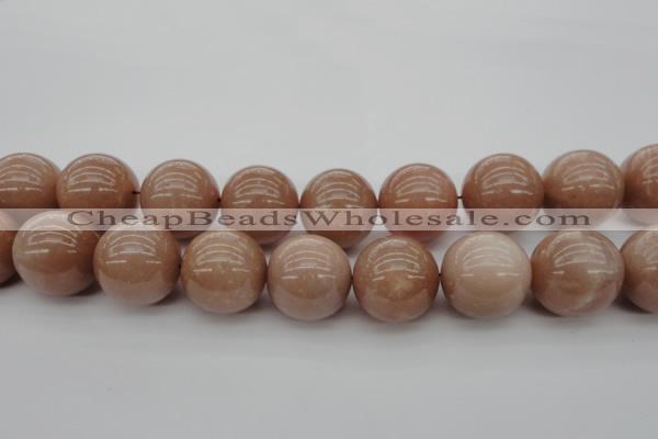 CMS938 15.5 inches 20mm round A grade moonstone gemstone beads