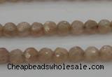 CMS940 15.5 inches 4mm faceted round A grade moonstone gemstone beads