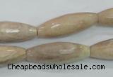 CMS95 15.5 inches 10*30mm faceted rice moonstone gemstone beads