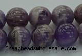 CNA1004 15.5 inches 12mm round dogtooth amethyst beads wholesale