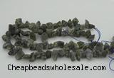 CNG1159 15.5 inches 8*12mm - 13*18mm nuggets labradorite beads