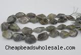 CNG1715 15.5 inches 15*20mm - 20*30mm nuggets labradorite beads