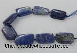 CNG2428 15.5 inches 25*35mm - 30*40mm freeform lapis lazuli beads