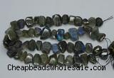 CNG2825 15.5 inches 13*18mm - 15*20mm freeform labradorite beads