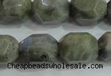 CNG320 15.5 inches 15*20mm faceted nuggets labradorite gemstone beads