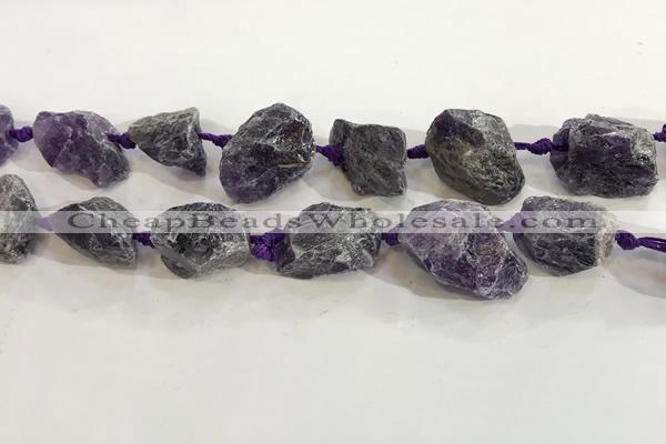 CNG3566 15.5 inches 18*20mm - 25*30mm nuggets rough amethyst beads