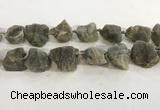 CNG3567 15.5 inches 18*20mm - 25*30mm nuggets rough labradorite beads