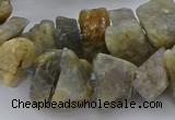 CNG5036 15.5 inches 12*20mm - 15*25mm nuggets labradorite beads