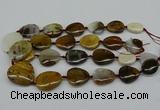 CNG5158 15.5 inches 16*22mm - 30*35mm freeform Mexican agate beads