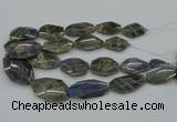 CNG5255 15.5 inches 22*30mm - 35*45mm faceted freeform labradorite beads