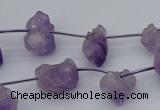 CNG5260 15.5 inches 5*8mm - 15*20mm nuggets amethyst beads