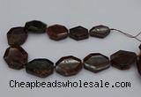 CNG5313 15.5 inches 20*30mm - 35*45mm freeform orange garnet beads