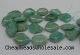 CNG5353 15.5 inches 20*30mm - 35*45mm faceted freeform amazonite beads