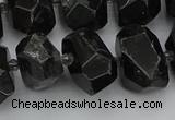 CNG5368 12*16mm - 15*20mm faceted nuggets black tourmaline beads