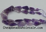 CNG5435 15*25mm - 30*45mm freeform amethyst gemstone beads