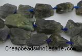 CNG5528 15.5 inches 10*14mm - 15*20mm nuggets labradorite beads