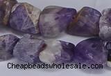 CNG5532 15.5 inches 10*14mm - 12*16mm nuggets dogtooth amethyst beads