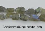 CNG5620 6*9mm - 10*16mm nuggets labradorite gemstone beads