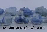 CNG5725 10*14mm - 12*16mm nuggets aquamarine beads wholesale