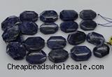 CNG5765 15.5 inches 20*30mm - 35*45mm faceted freeform sodalite beads