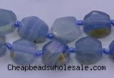 CNG5793 10*12mm - 10*14mm faceted freeform blue calcite beads