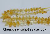 CNG5825 15.5 inches 8*18mm - 13*30mm freeform citrine beads